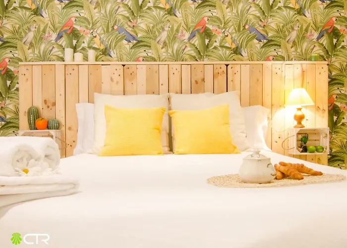 Coqueto & Confortable *